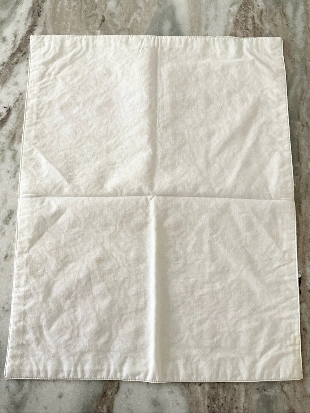Set of 4 Floral Cloth Embroidered Placemats in Yellow & White